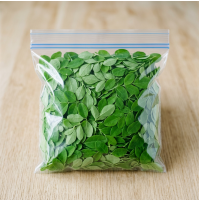 Drumstick leaves  (80-100gms, Packed in Zip Lock)